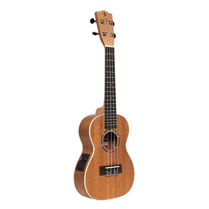 Ukulele concerto elettrificato con borsa