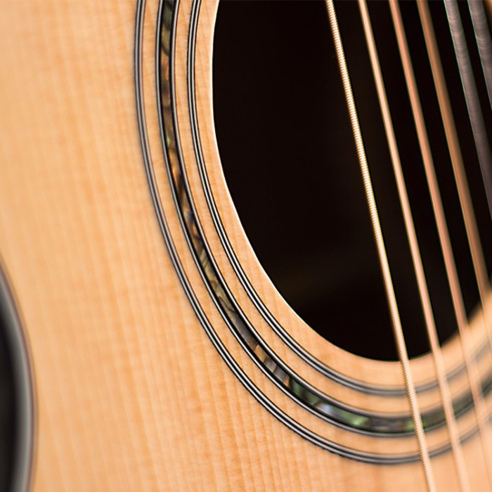 Collina Grand Auditorium Cutaway Maple Ed.