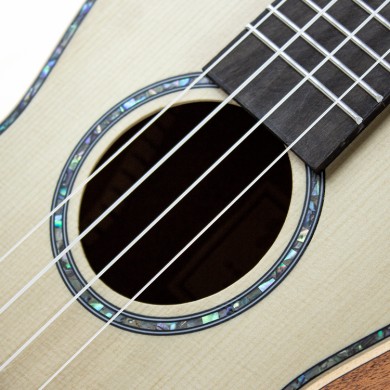 Montagna Ukulele Concerto