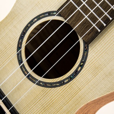 Pianura Ukulele Concerto