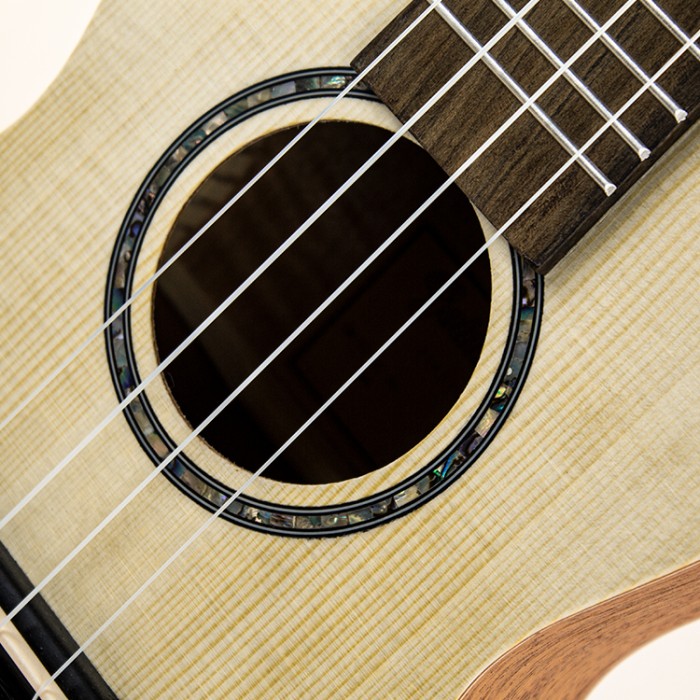 Pianura Ukulele Concerto