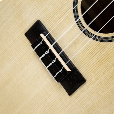 Pianura Ukulele Concerto