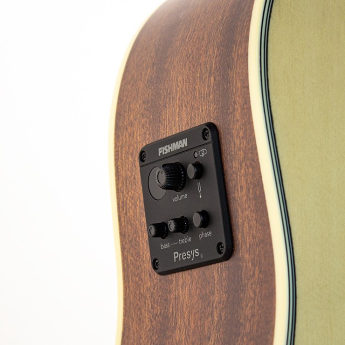 Pianura Dreadnought Natural
