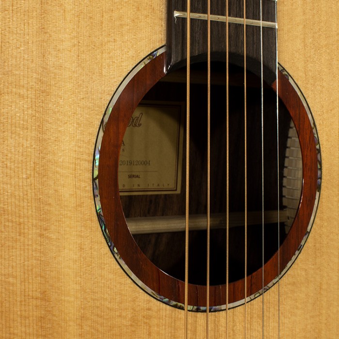 Collina Dreadnought Cutaway Armrest Ed.