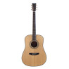 Dreadnought elettrificata natural