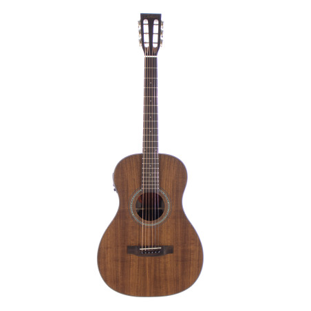 Parlor elettrificata koa