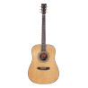 Dreadnought elettrificata natural