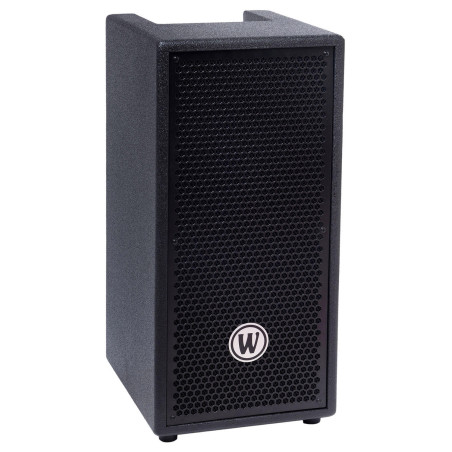 Cabinet 2x8 4 Ohms 200W