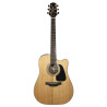 Dreadnought Ctw Elet G Selected Series
