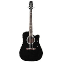 Steve Wariner Signature