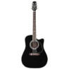 Steve Wariner Signature