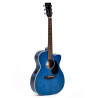 10 000-14th cutaway elettrificata blu