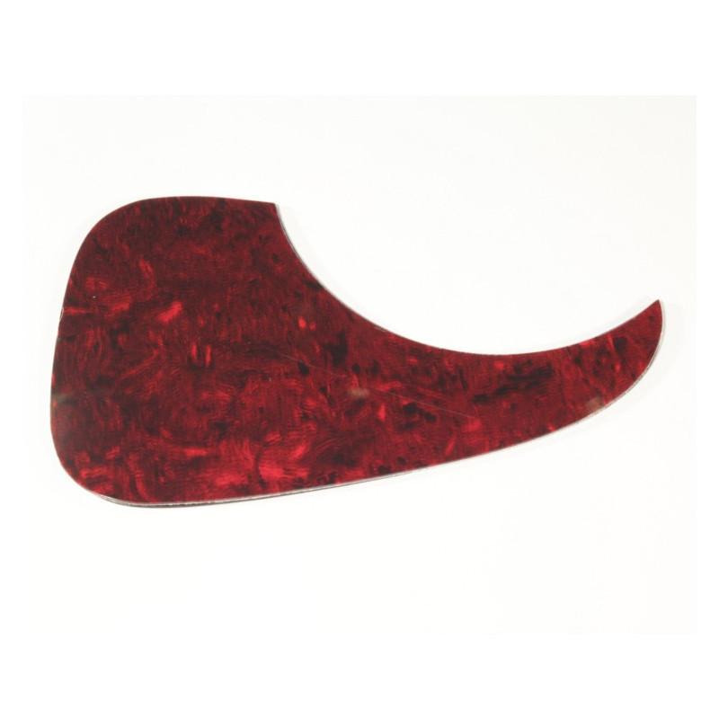 Battipenna Takamine bulk tartarugato