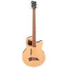 Alien Standard 5 Natural Satin