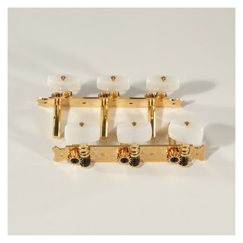 Meccaniche bulk acustica 6 corde