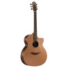 The 35 O-35C-WA/RC elettrificata