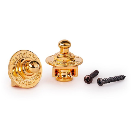 S-Security Lock System Gold
