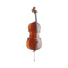 Violoncello 3/4 con astuccio