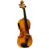 Violino 4/4 elettrificato con astuccio