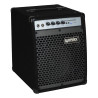 20W Combo 1x8 + 1x2 Horn