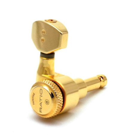 Ratio Meccaniche Locking Elettrica 6 in linea Gold