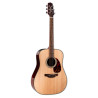 Dreadnought Elet TEP3 Series