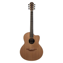 Original F-25C elettrificata