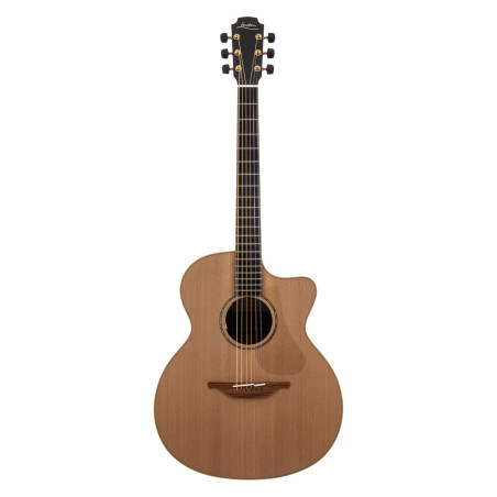 The 35 O-35C-WA/RC elettrificata