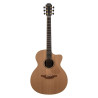 The 35 O-35C-WA/RC elettrificata