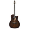 Seagull Artist Mosaic CH CW Bourbon Burst GT EQ