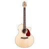 Performer CW Mini Jumbo HG Presys II