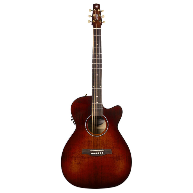 Performer CW CH Burnt Umber Presys II