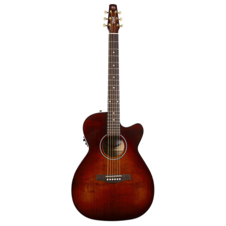 Performer CW CH Burnt Umber Presys II