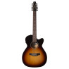 S12 CH CW Spruce Sunburst GT Presys II