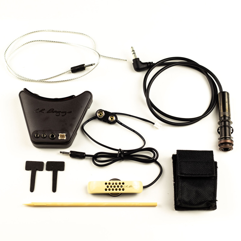 Kit LR Baggs Anthem con controlli tartarugati