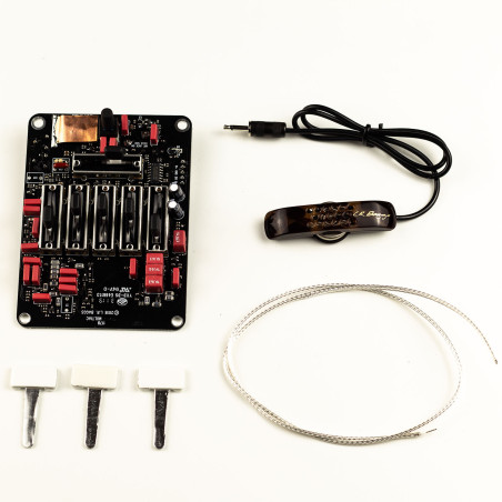 Kit elettronica Godin Multiac corde acciaio