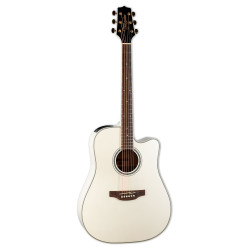 Dreadnought Ctw Elet G...