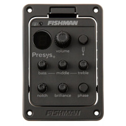 Preamplificatore Fishman...