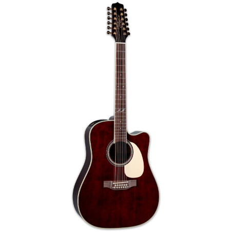 John Jorgenson Signature 12 corde