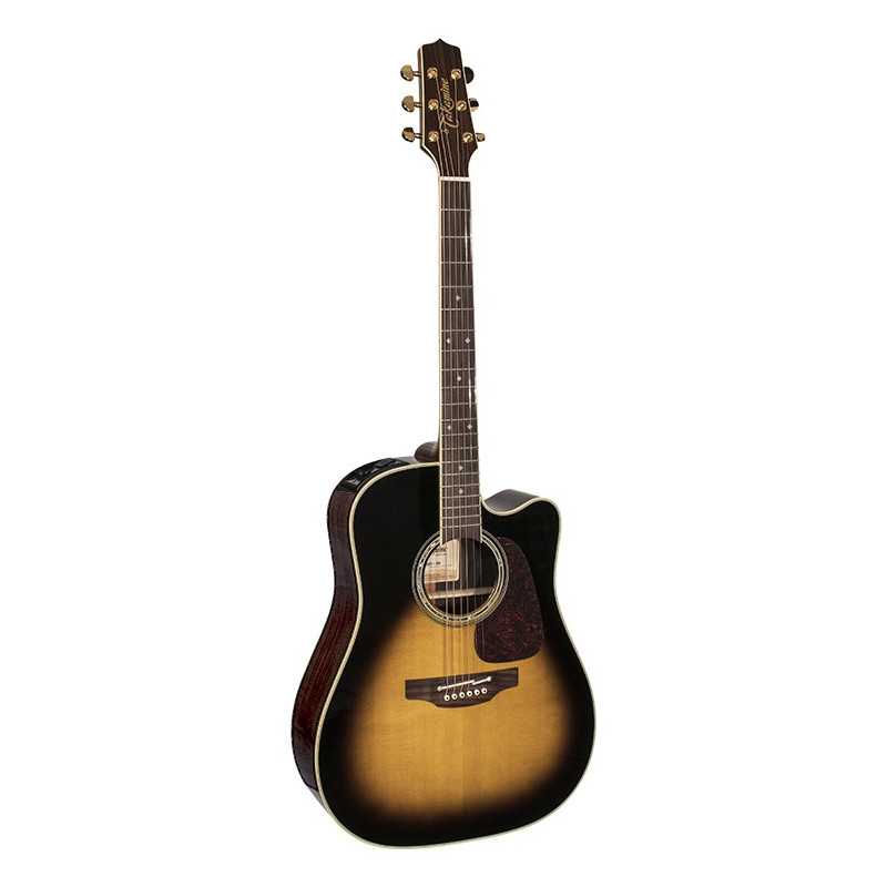 Dreadnought Ctw Elet Pro Selected Series
