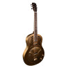 Chitarra resofonica metal elettrificata