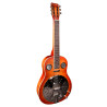 Chitarra resofonica wood elettrificata square neck