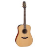 Dreadnought Elet Pro 3 Series