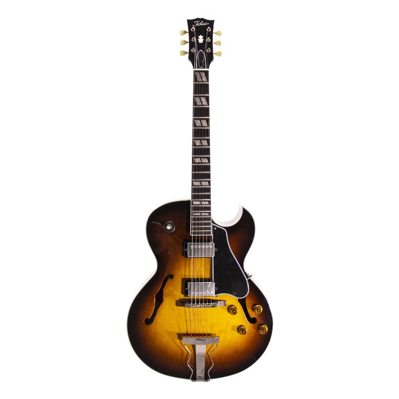 Chitarra Elettrica Premium Semi-Acustica