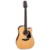 Dreadnought Ctw Elet G Series