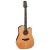 Dreadnought Ctw Elet G Series