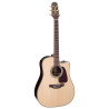 Dreadnought Ctw Elet Pro 5 Series