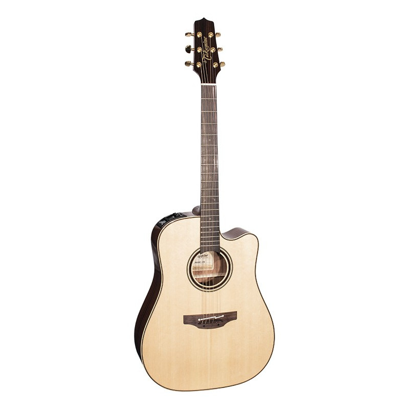 Dreadnought Ctw Elet Pro Selected Series