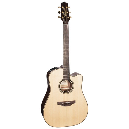 Dreadnought Ctw Elet Pro Selected Series