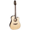 Dreadnought Ctw Elet Pro Selected Series